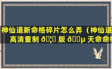 神仙道新命格碎片怎么弄（神仙道高清重制 🦈 版 🐵 天命命格解锁等级）